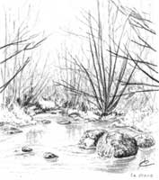 la rivire Vonne en quelques traits © LVS2